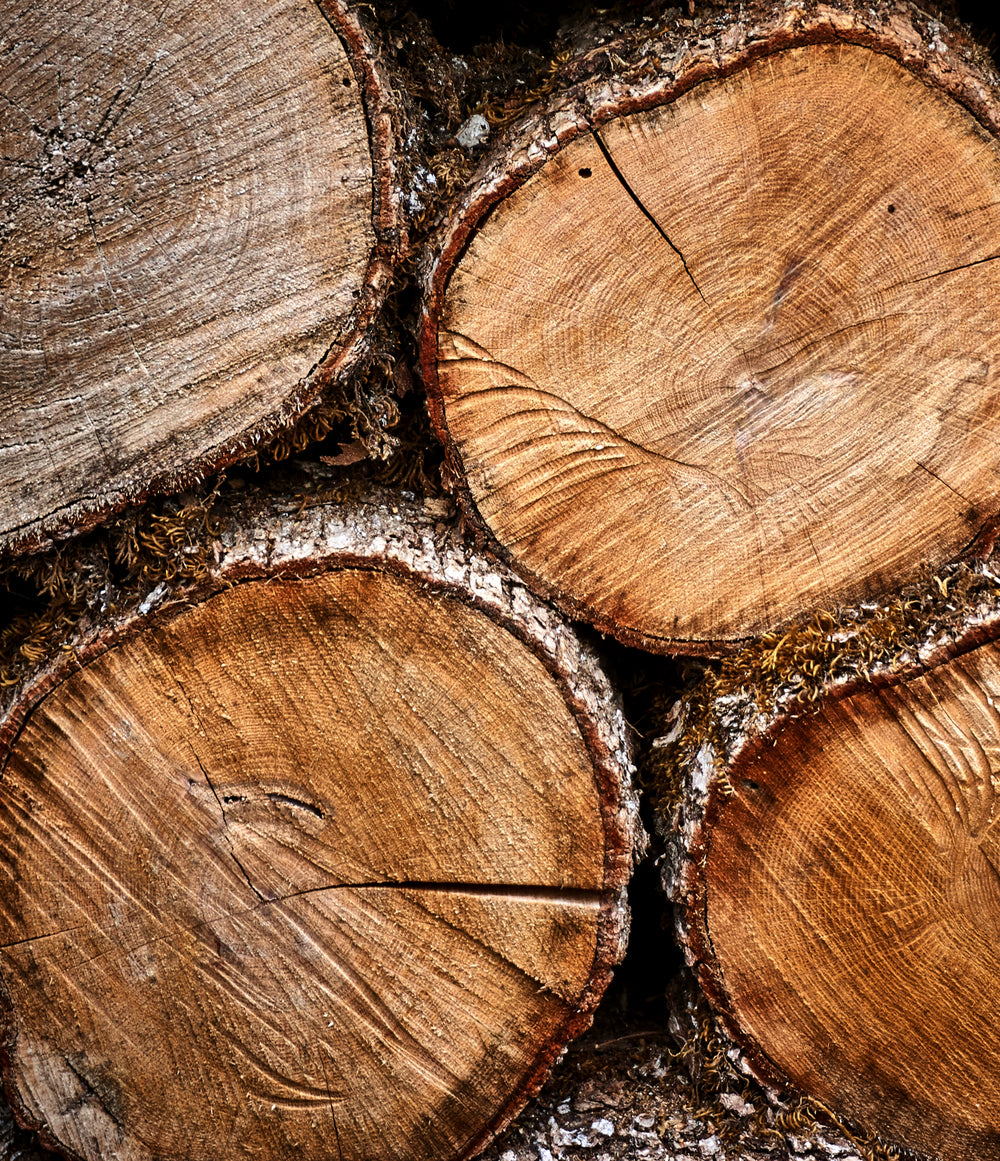 Oak