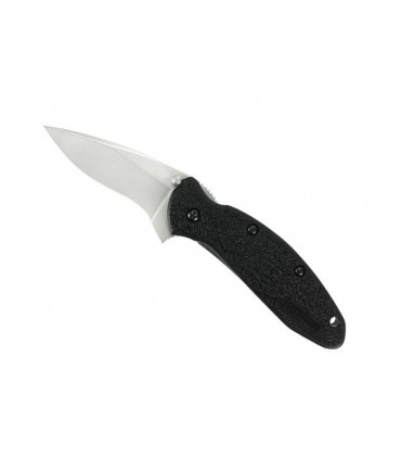 Kershaw ks.1620 Couteau Scallion, lame acier 420HC avec « flipper », manche 9 cm nyl/fibre de verre noir