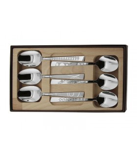 Roger Orfèvre 10107.cc Coffret 6 cuillers a café, 15 cm, tout inox, manches réalisés par microbillage sélectif